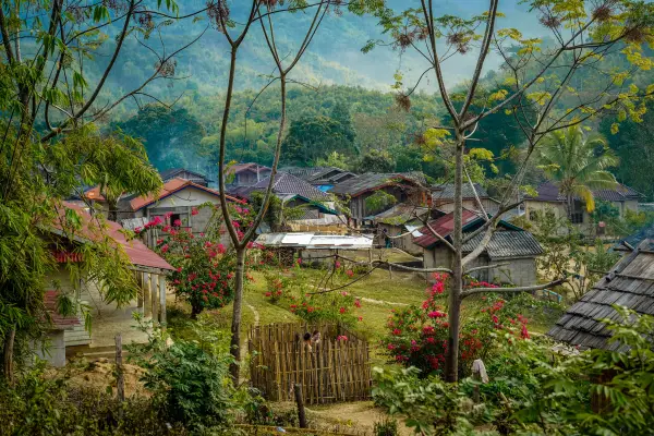 ນໍ້າຕົກຕາດ ແລະ ຍ່າງປ່າເຮືອນຮັງນົກ