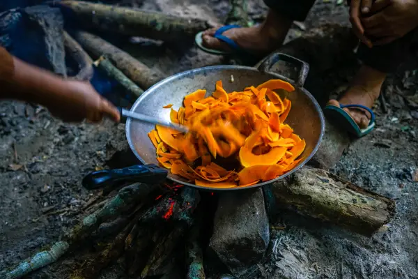 ນໍ້າຕົກຕາດ ແລະ ຍ່າງປ່າເຮືອນຮັງນົກ