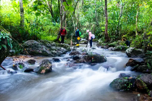 ນໍ້າຕົກຕາດ ແລະ ຍ່າງປ່າເຮືອນຮັງນົກ