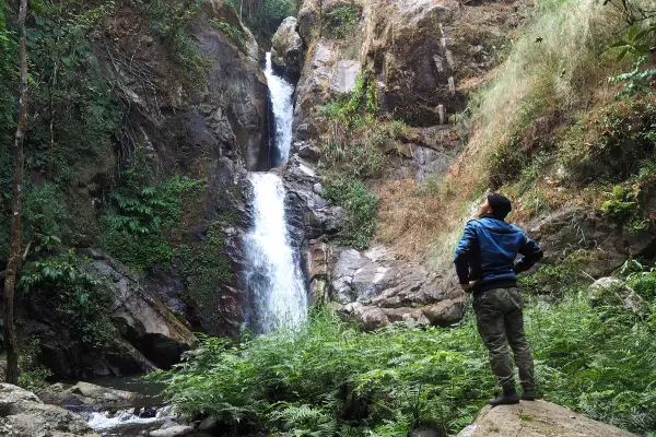 ນໍ້າຕົກຕາດ ແລະ ຍ່າງປ່າເຮືອນຮັງນົກ