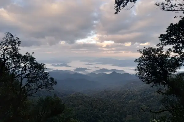 ຍ່າງປ່າພູເຂົາທະເລໝອກ