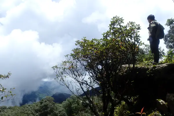 ນໍ້າຕົກຕາດ ແລະ ຍ່າງປ່າເຮືອນຮັງນົກ