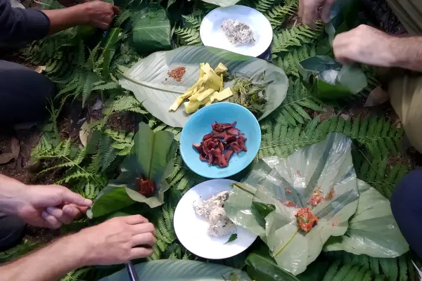 ຍ່າງປ່າພູເຂົາທະເລໝອກ