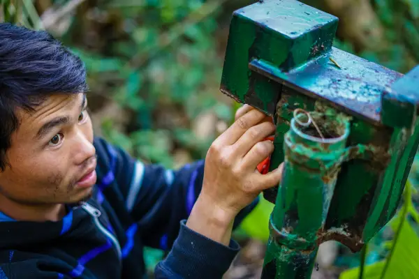 ຍ່າງປ່າພູເຂົາທະເລໝອກ