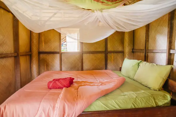 Discover Sayabouly's Elephant Sanctuary: A 3 Days - 2 Nights Wildlife Adventure