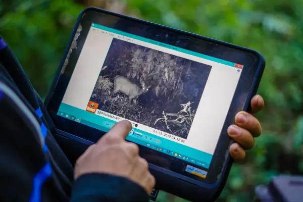 ຍ່າງປ່າພູເຂົາທະເລໝອກ