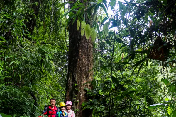 ນໍ້າຕົກຕາດ ແລະ ຍ່າງປ່າເຮືອນຮັງນົກ