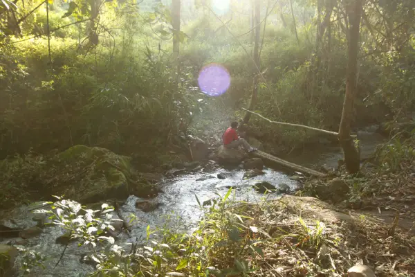 ນໍ້າຕົກຕາດ ແລະ ຍ່າງປ່າເຮືອນຮັງນົກ