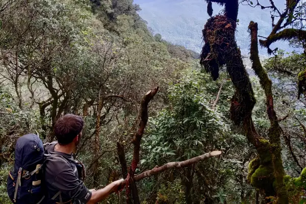 ຍ່າງປ່າພູເຂົາທະເລໝອກ