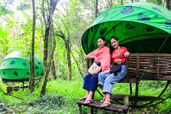 ນໍ້າຕົກຕາດ ແລະ ຍ່າງປ່າເຮືອນຮັງນົກ