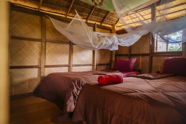 Discover Sayabouly's Elephant Sanctuary: A 3 Days - 2 Nights Wildlife Adventure