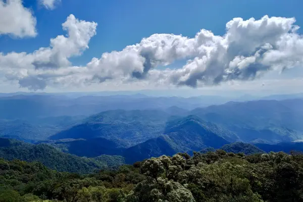 ຍ່າງປ່າພູເຂົາທະເລໝອກ