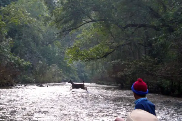 24 Hours - Nam Nern River Safari