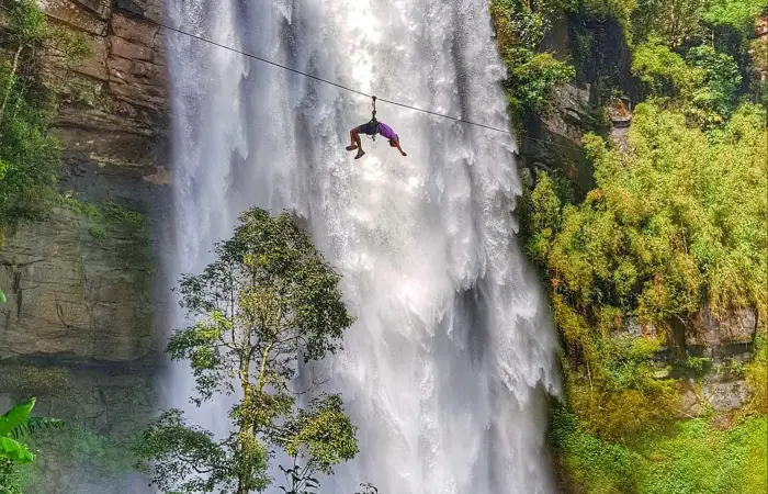 Car Rentals & Transfers