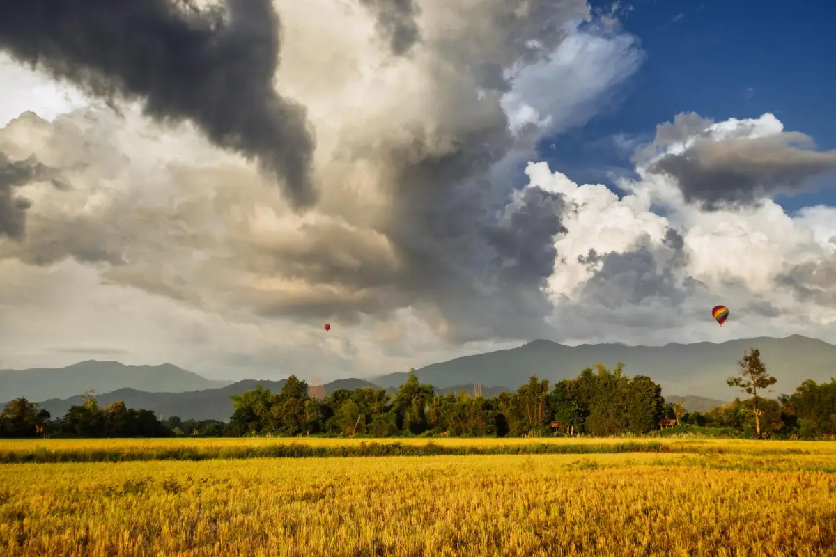 การสำรวจวังเวียง - ทางอากาศ