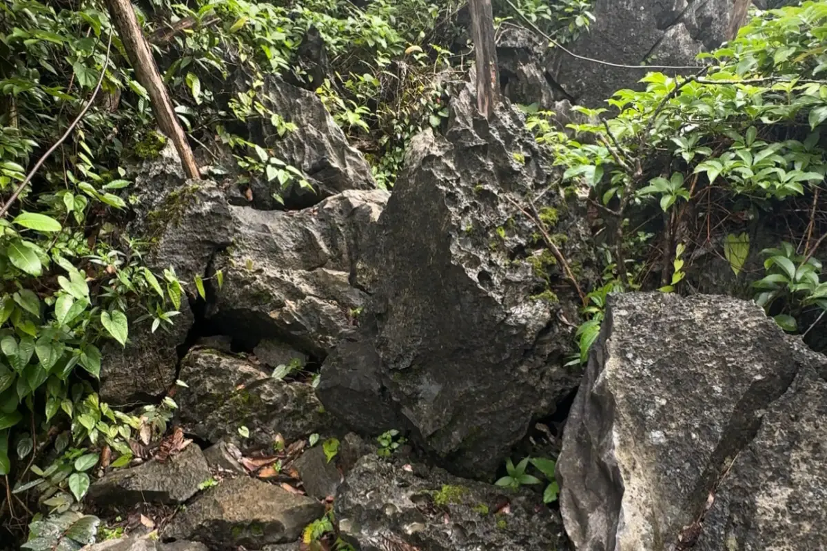 ผาเงิน (Silver Cliff)