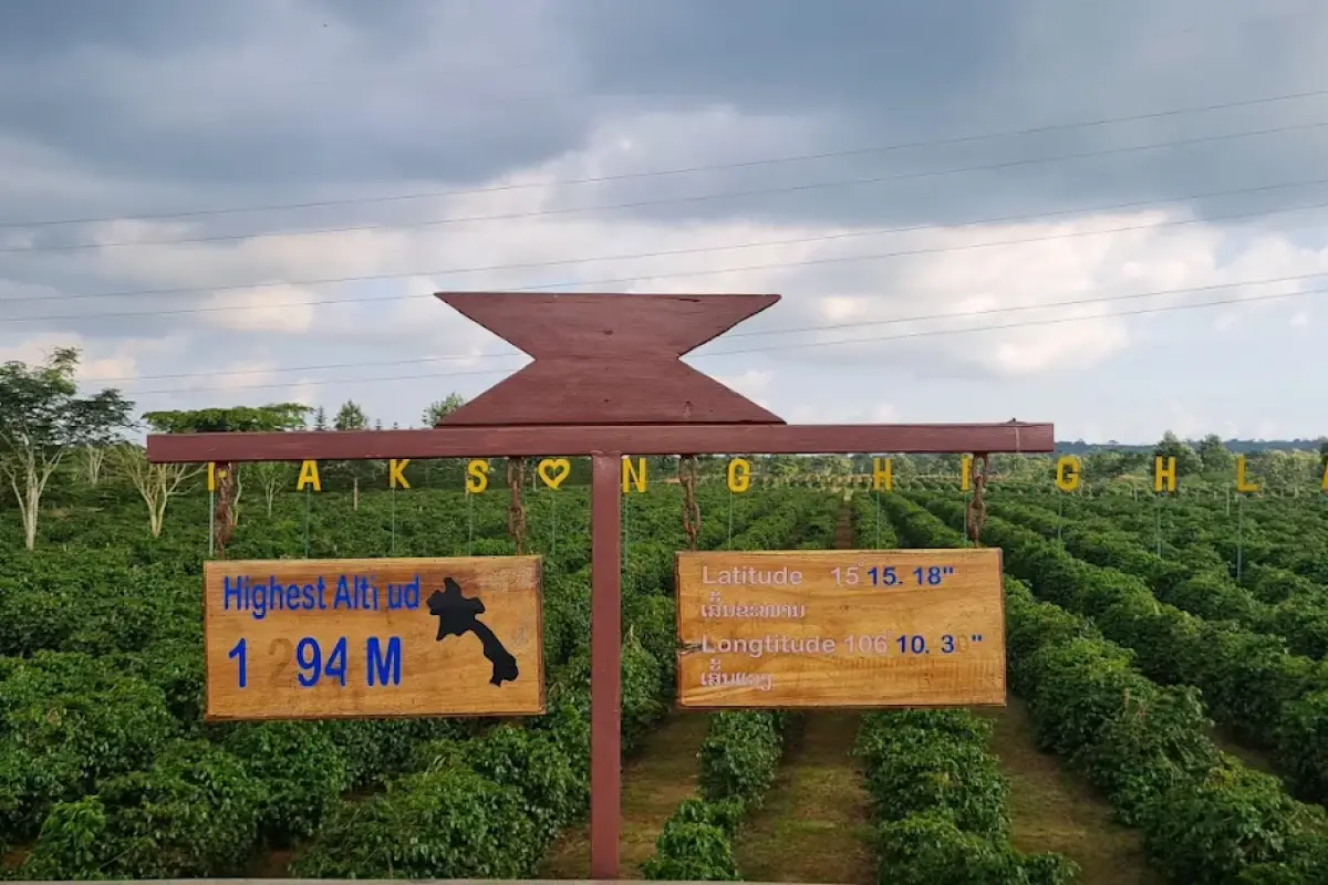 Cafe Hopping Experience in Paksong & the Bolaven Plateau