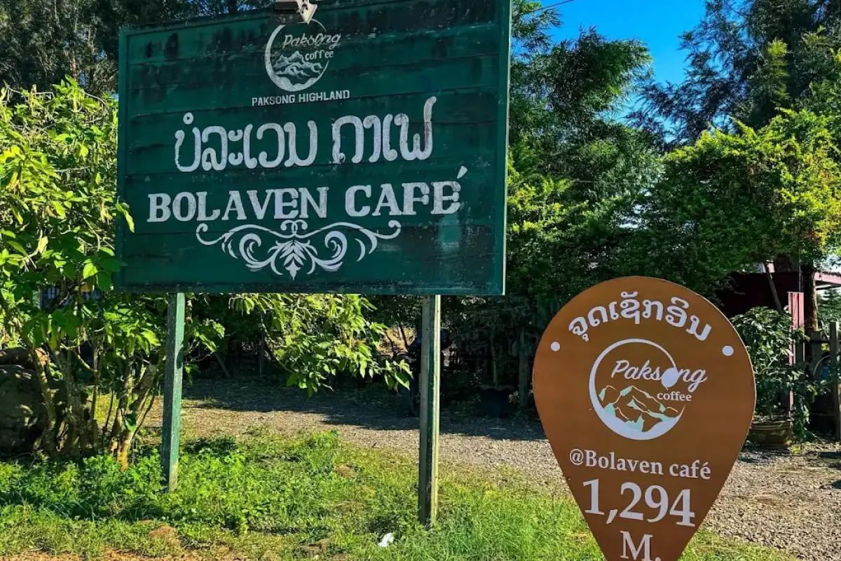 Cafe Hopping Experience in Paksong & the Bolaven Plateau