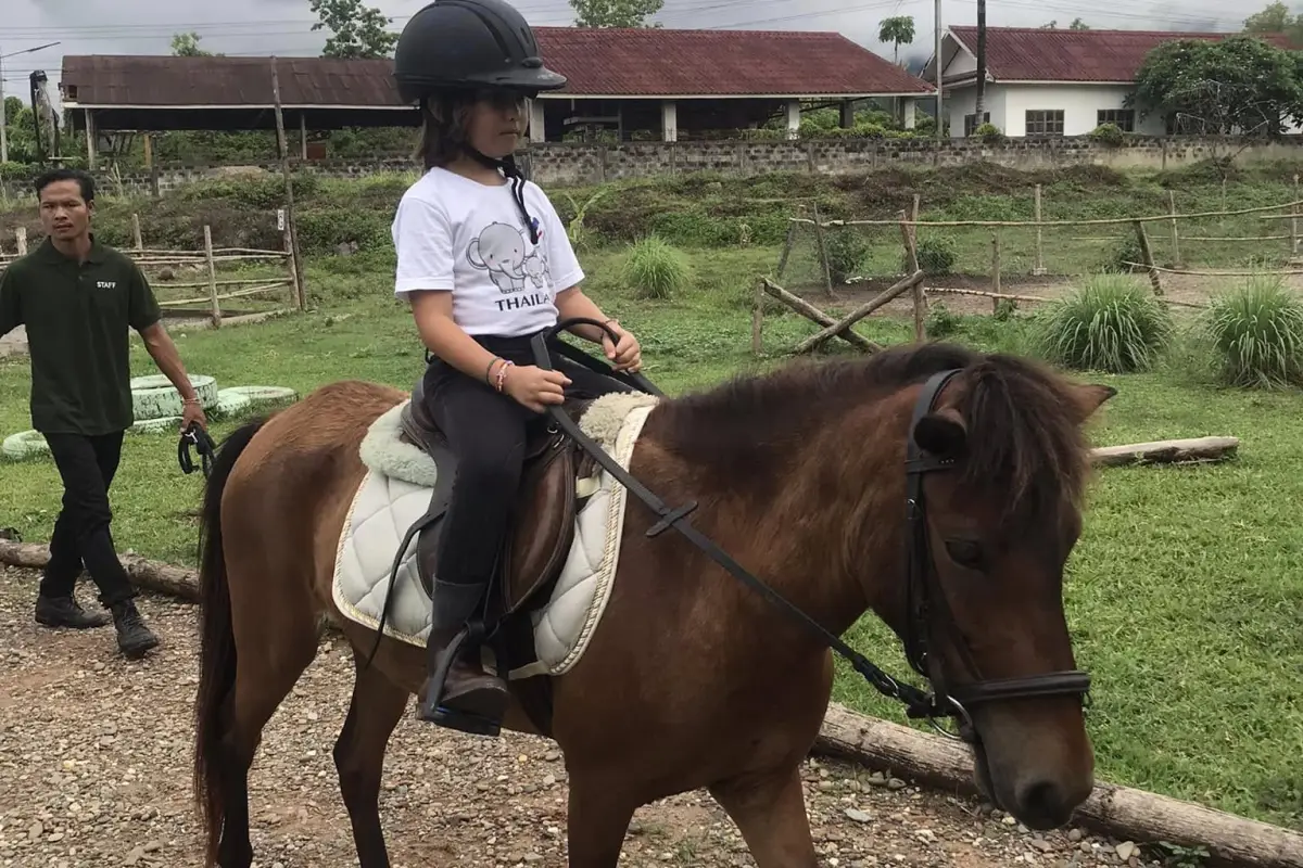 Pony Ride Experience in Luang Prabang
