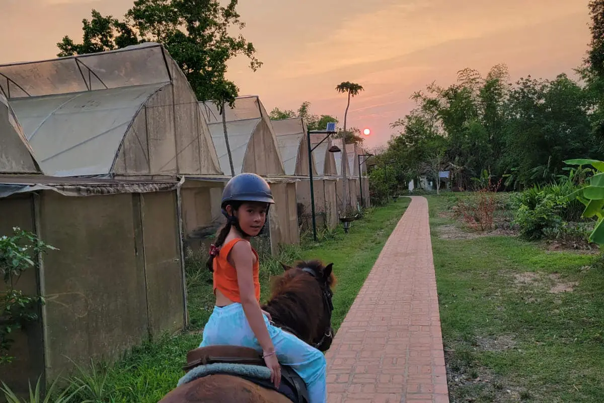 Pony Ride Experience in Luang Prabang