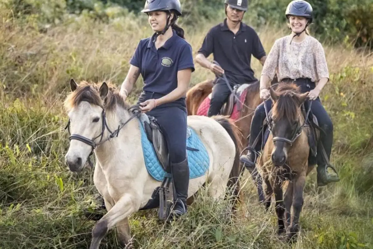 Pony Ride Experience in Luang Prabang