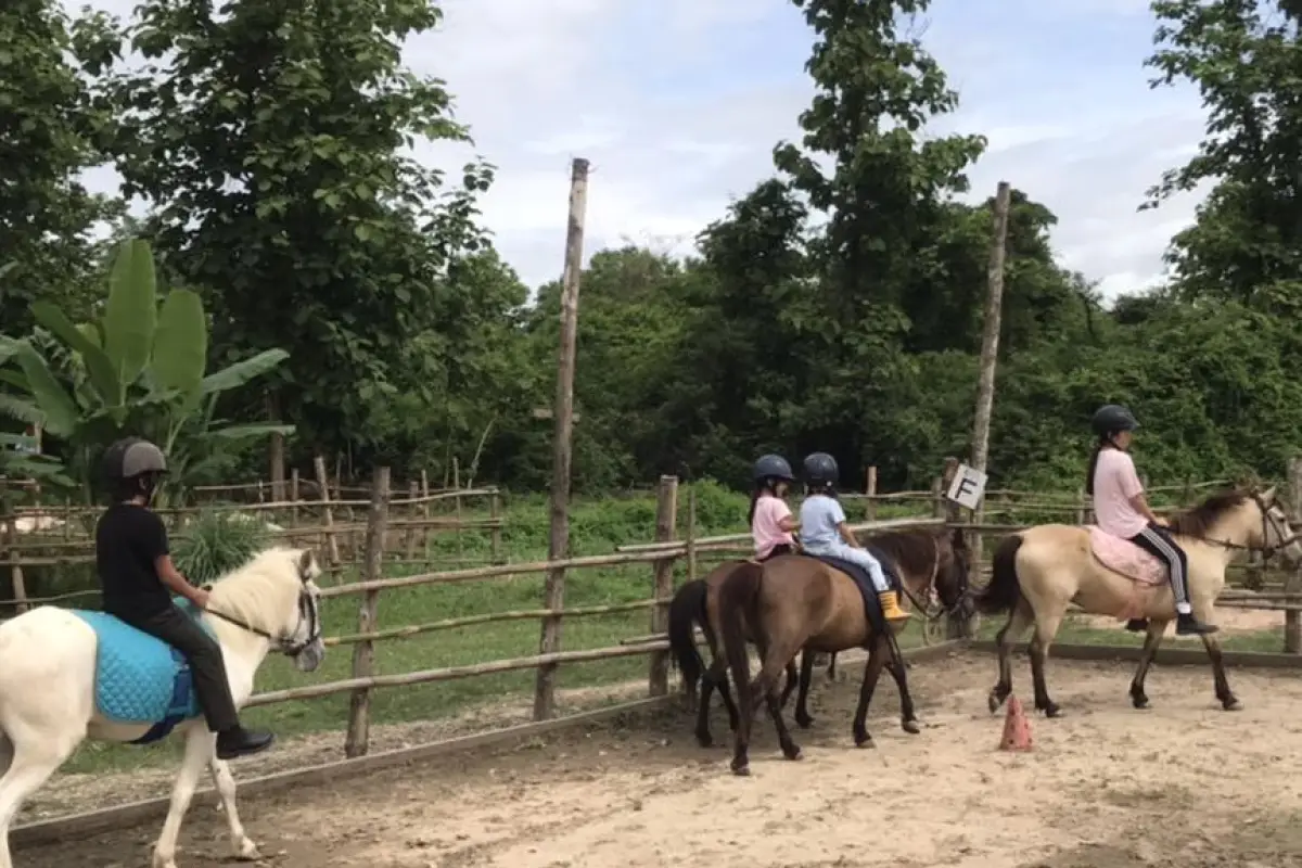 Pony Ride Experience in Luang Prabang
