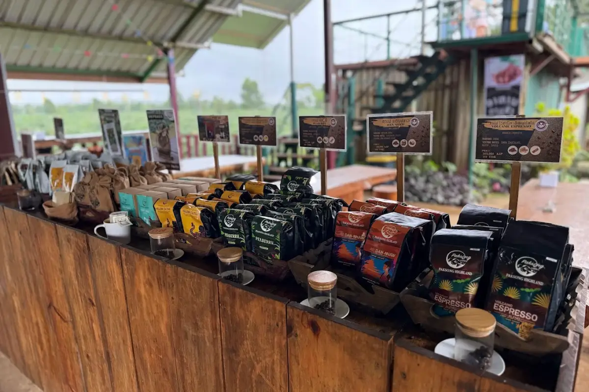 Cafe Hopping Experience in Paksong & the Bolaven Plateau