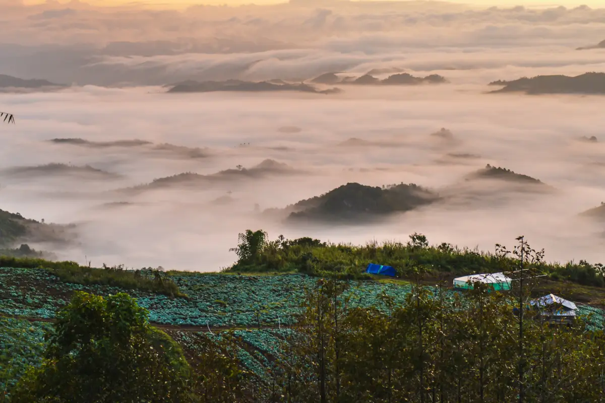 A beautiful morning mist view over the mountain in Phoukhoun area.