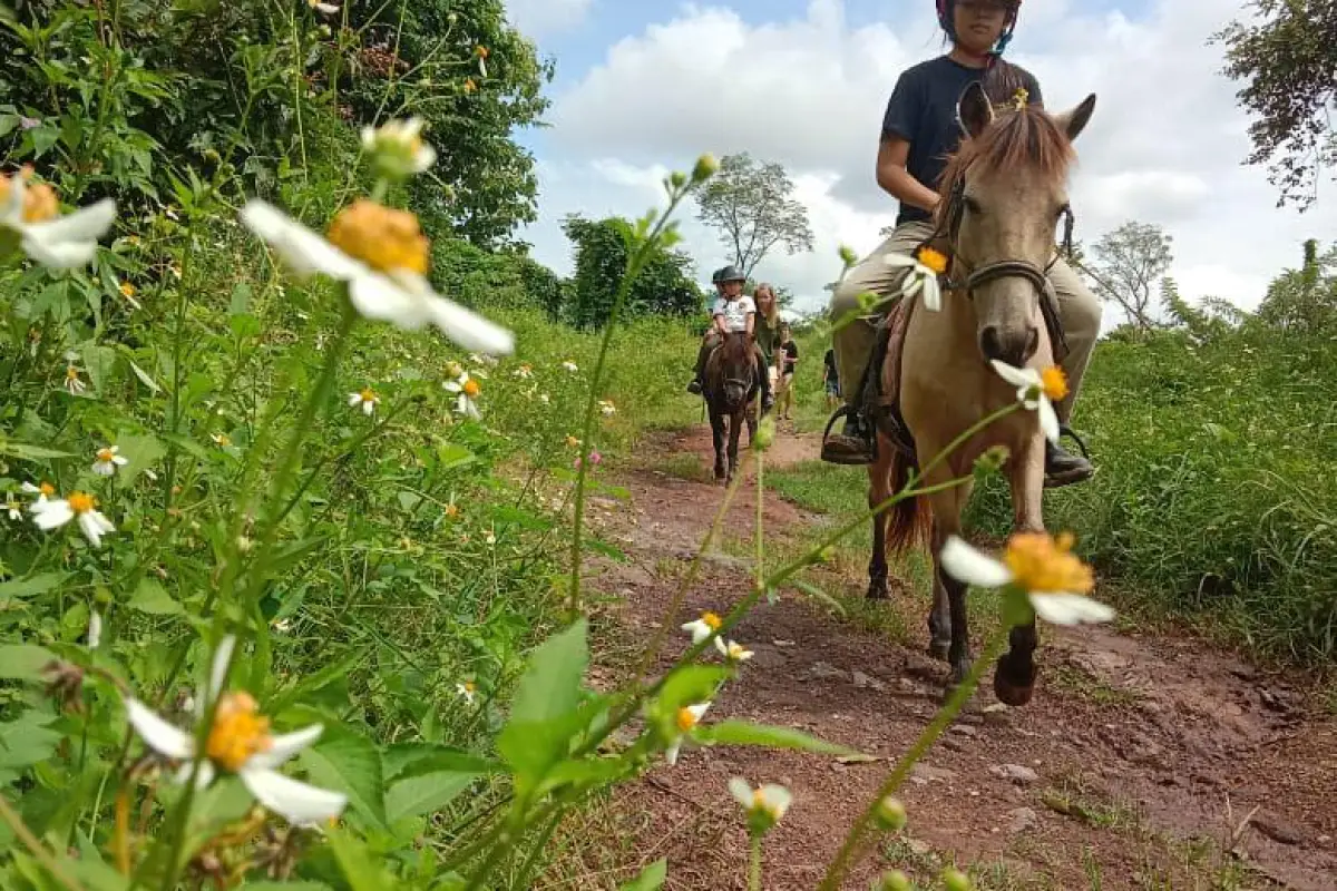 Pony Ride Experience in Luang Prabang