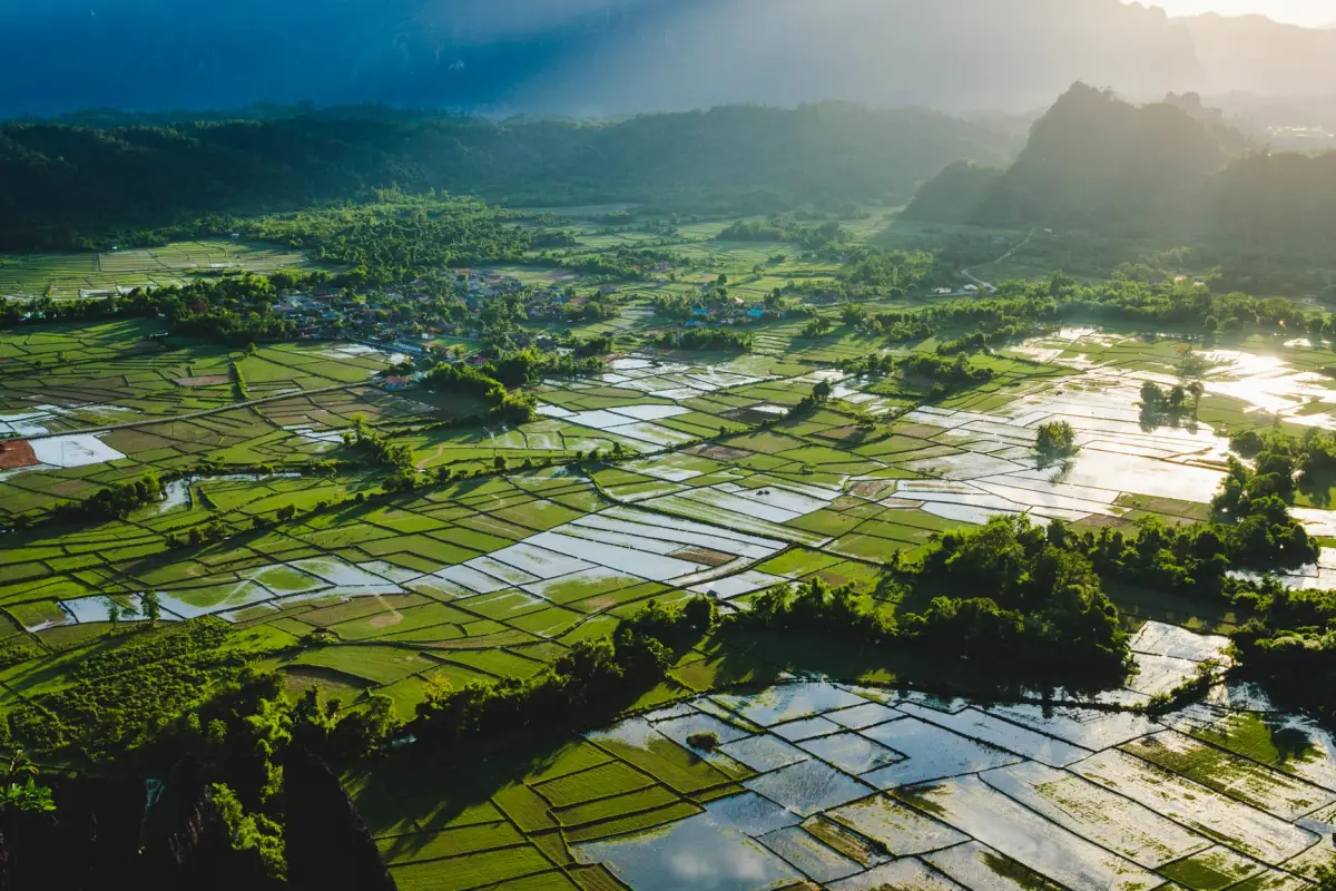 ผาเงิน (Silver Cliff)