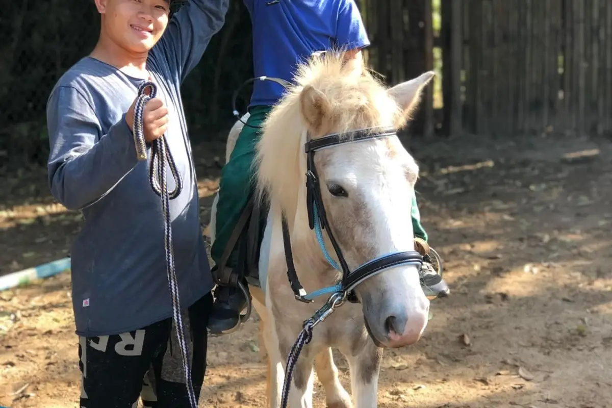 Pony Ride Experience in Luang Prabang
