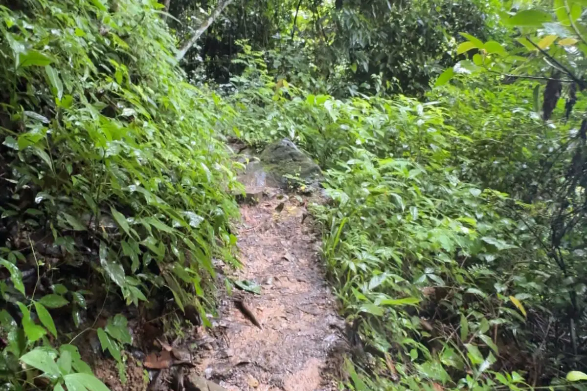 ผาเงิน (Silver Cliff)