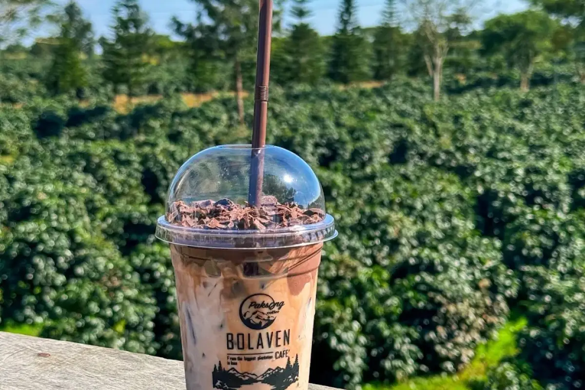 Cafe Hopping Experience in Paksong & the Bolaven Plateau