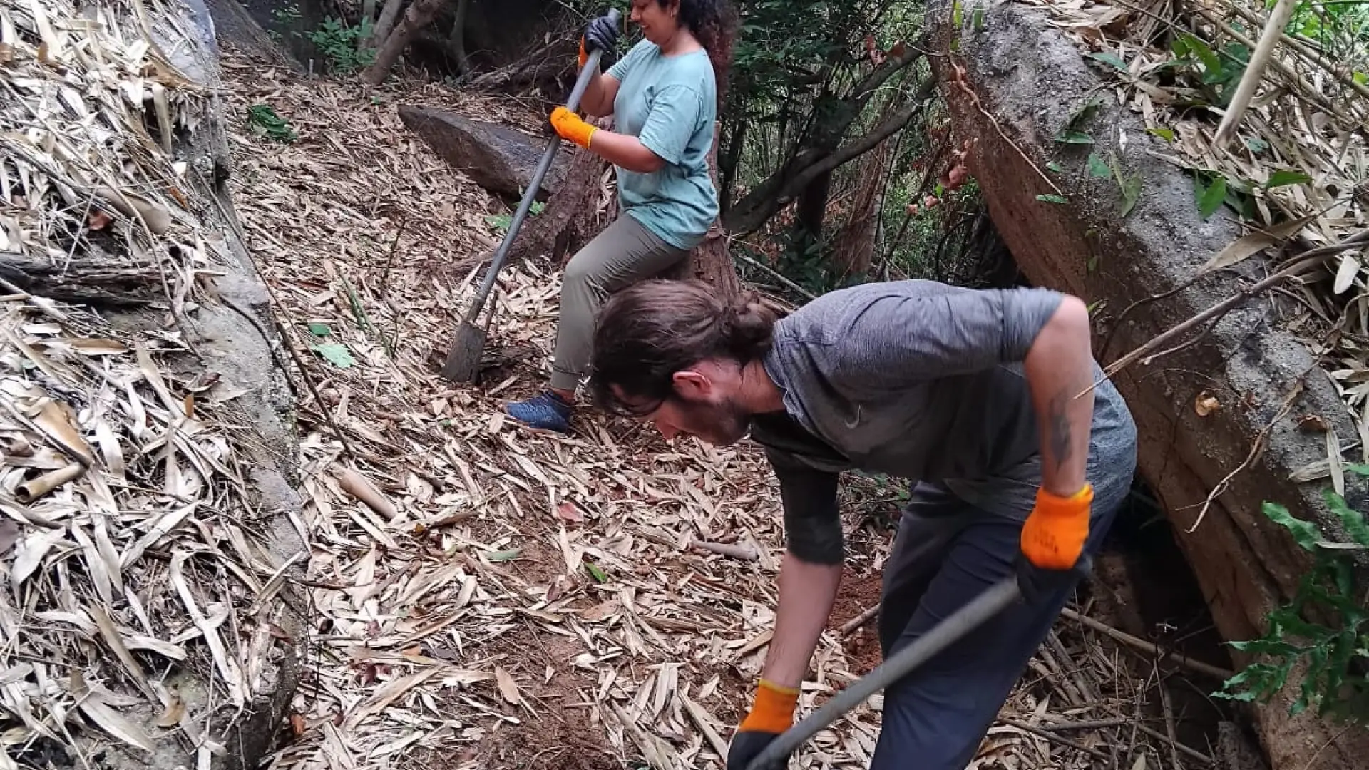 Lao Conservation Trust for Wildlife (LCTW)