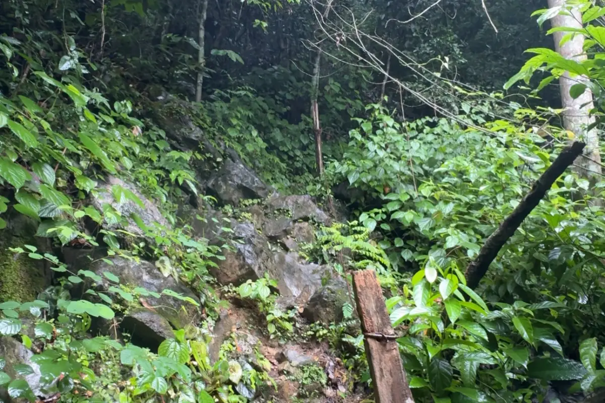 ผาเงิน (Silver Cliff)