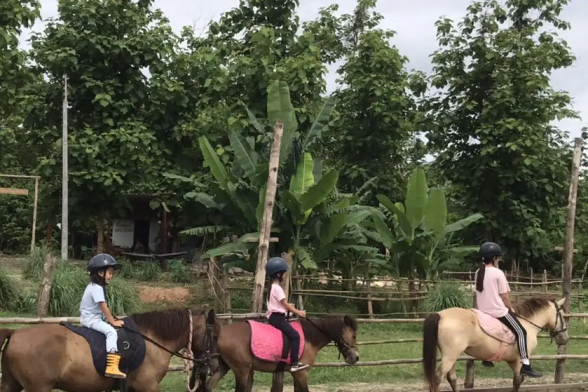 Pony Ride Experience in Luang Prabang