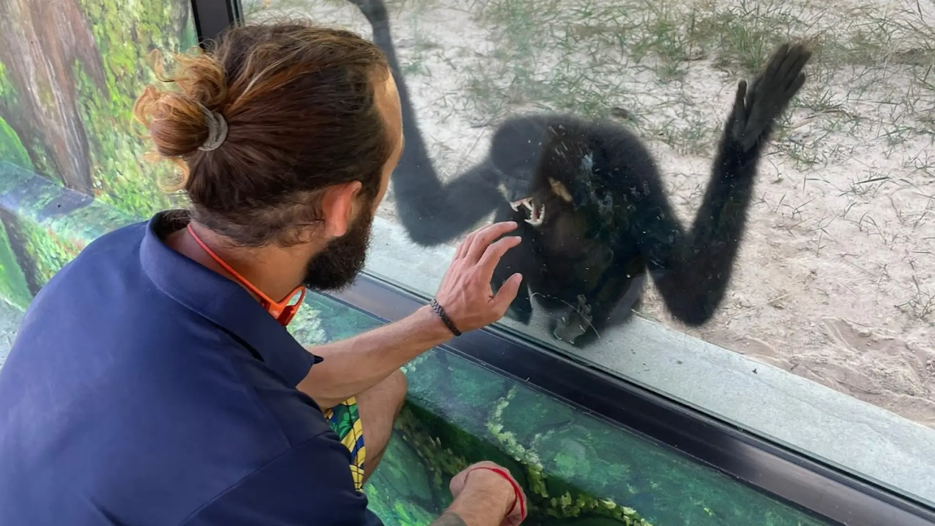 Lao Conservation Trust for Wildlife (LCTW)