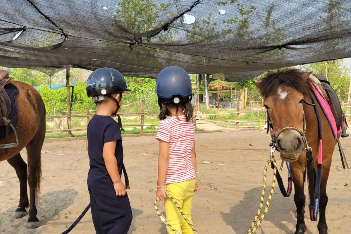 Pony Ride Experience in Luang Prabang
