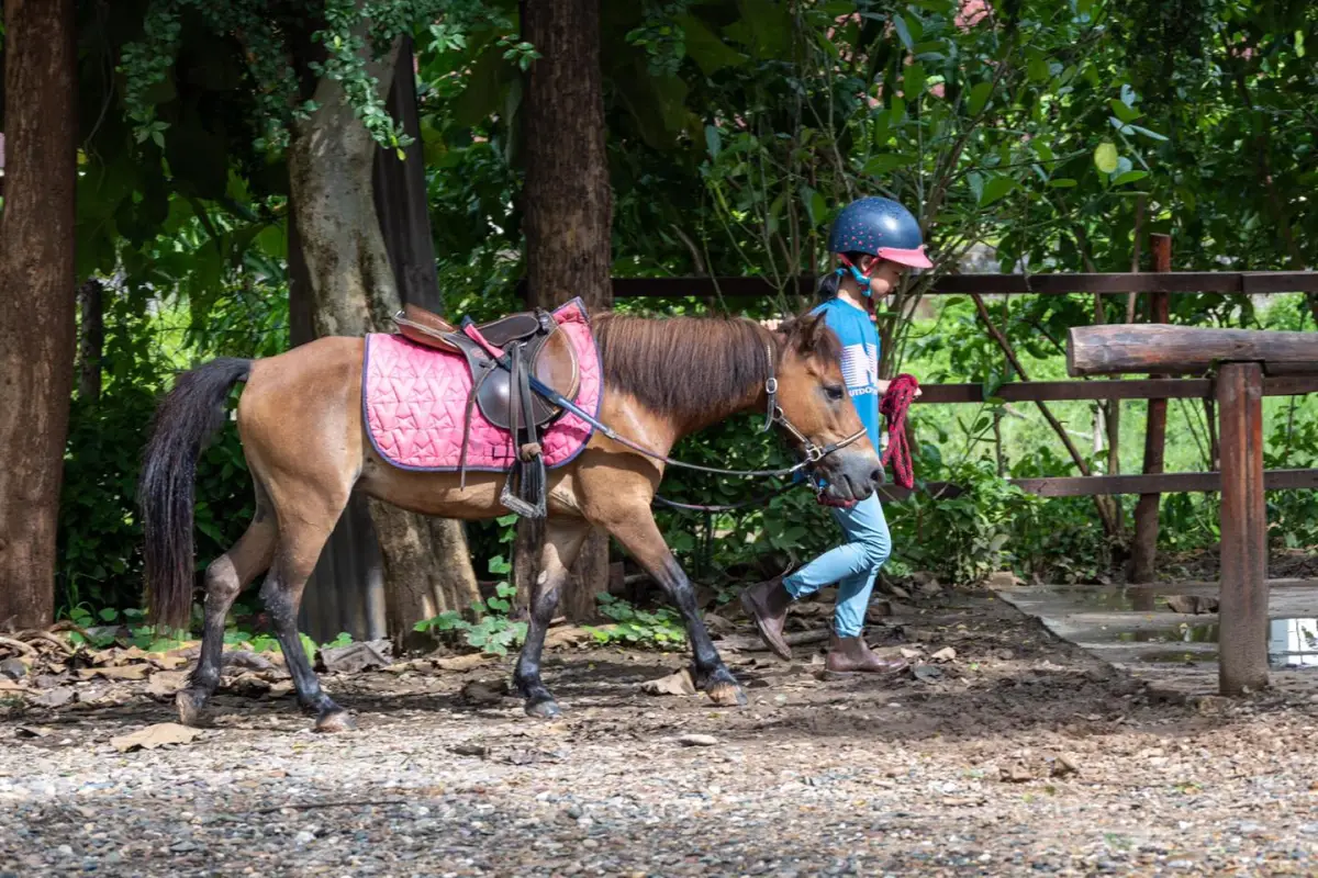 Pony Ride Experience in Luang Prabang