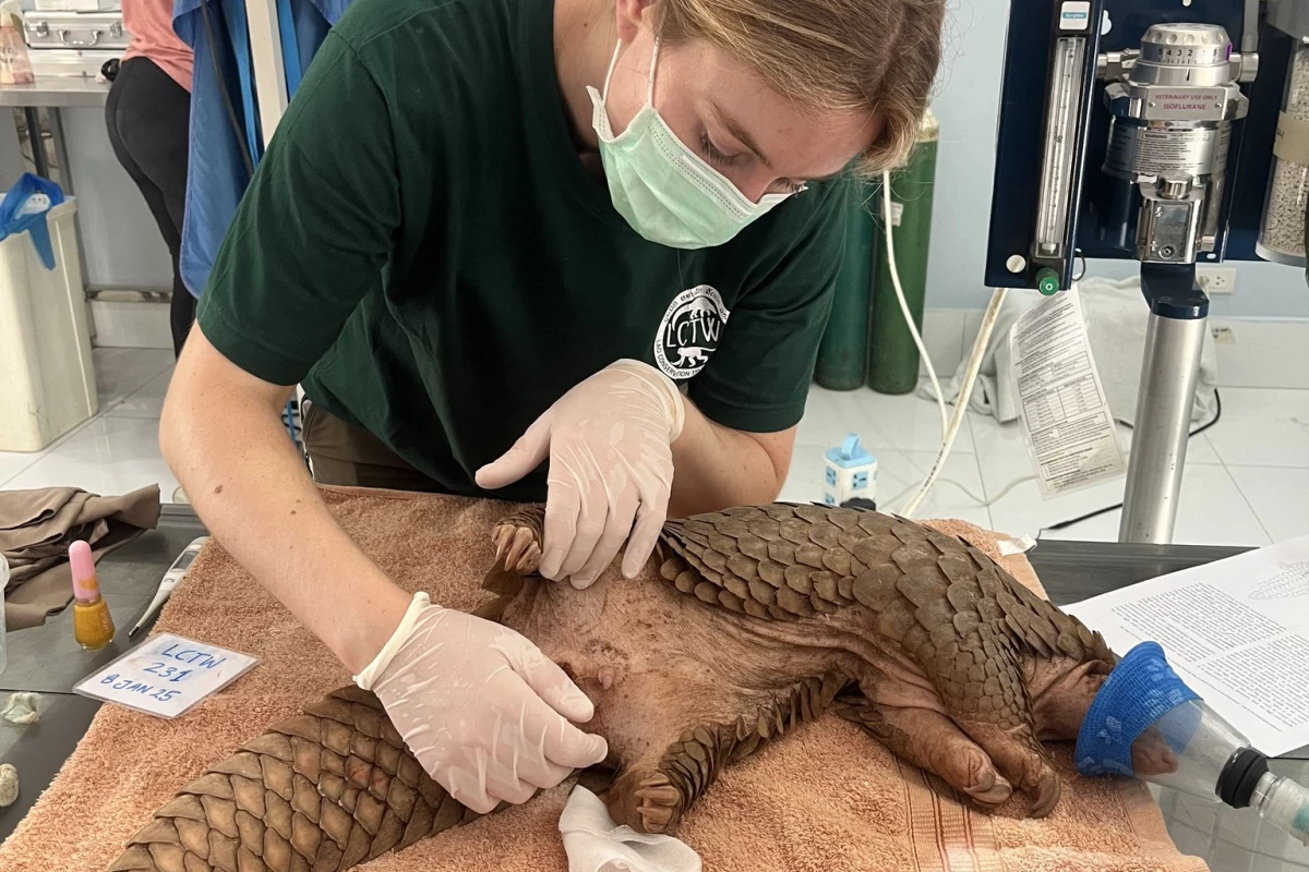 Lao Conservation Trust for Wildlife (LCTW)