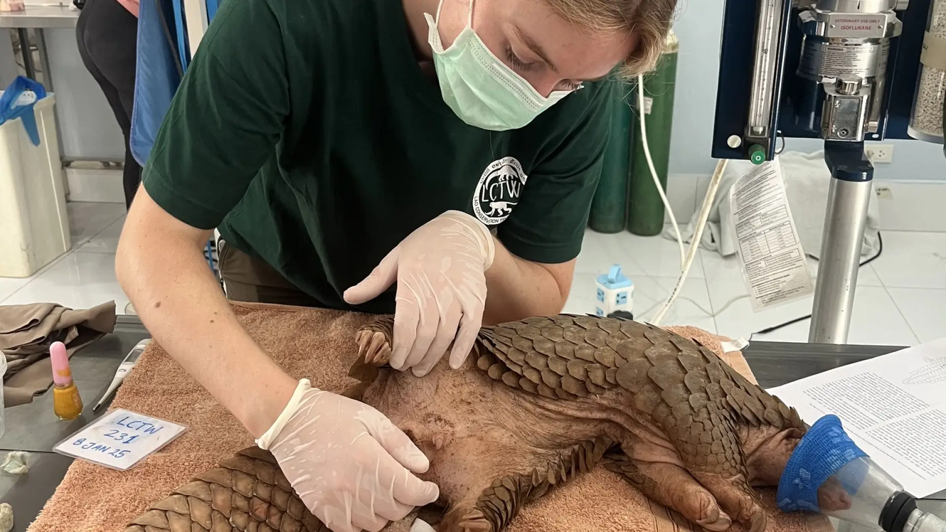 Lao Conservation Trust for Wildlife (LCTW)