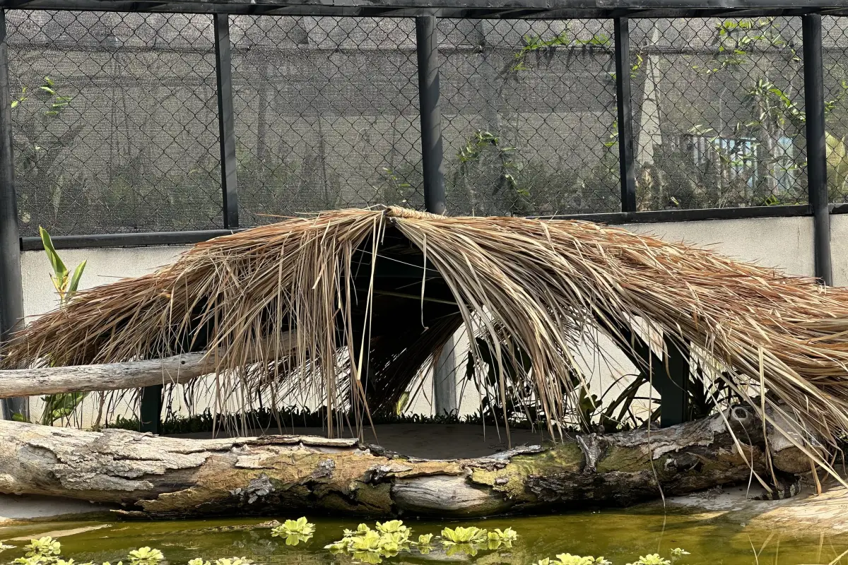 Lao Conservation Trust for Wildlife (LCTW)