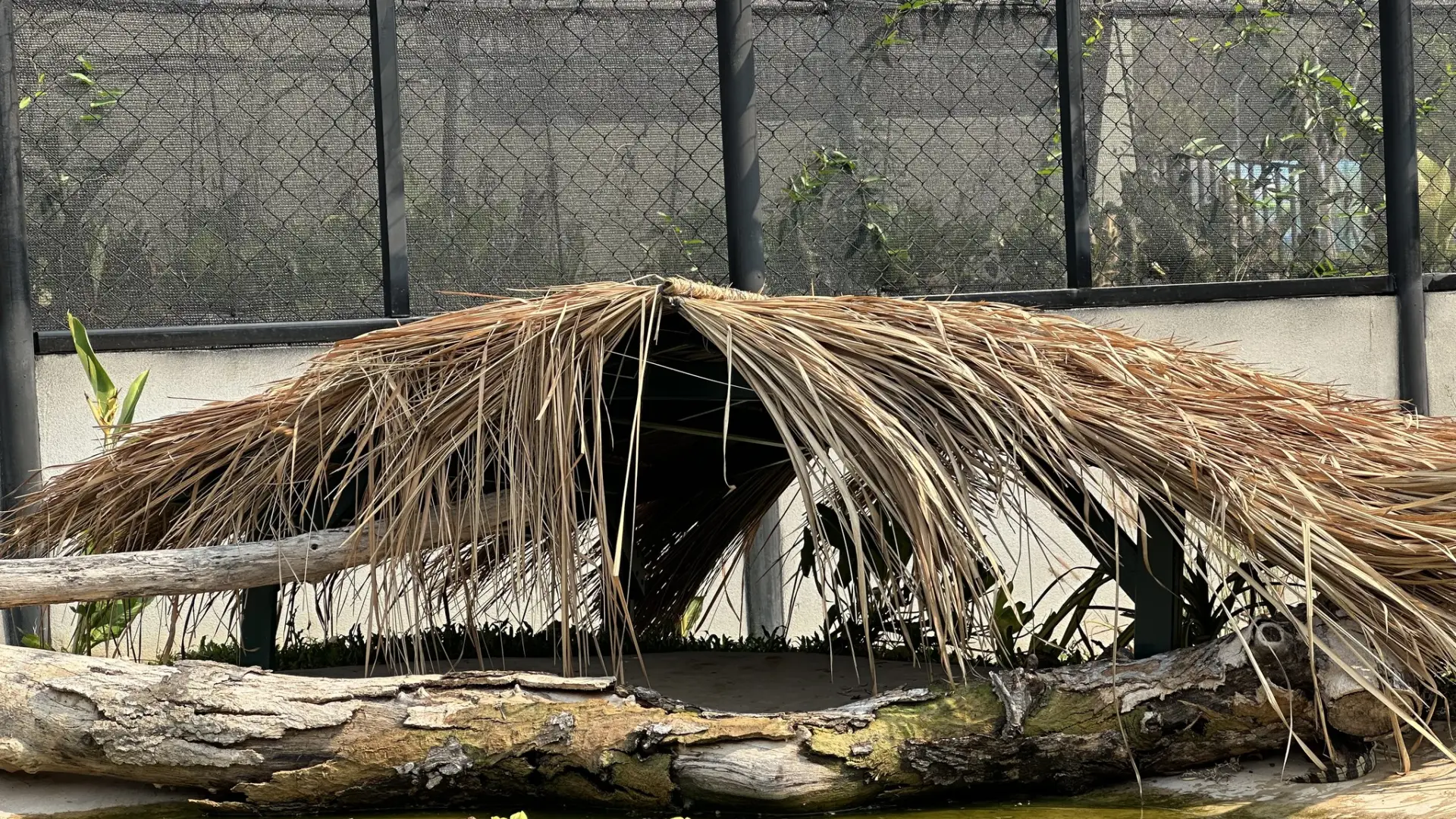 Lao Conservation Trust for Wildlife (LCTW)