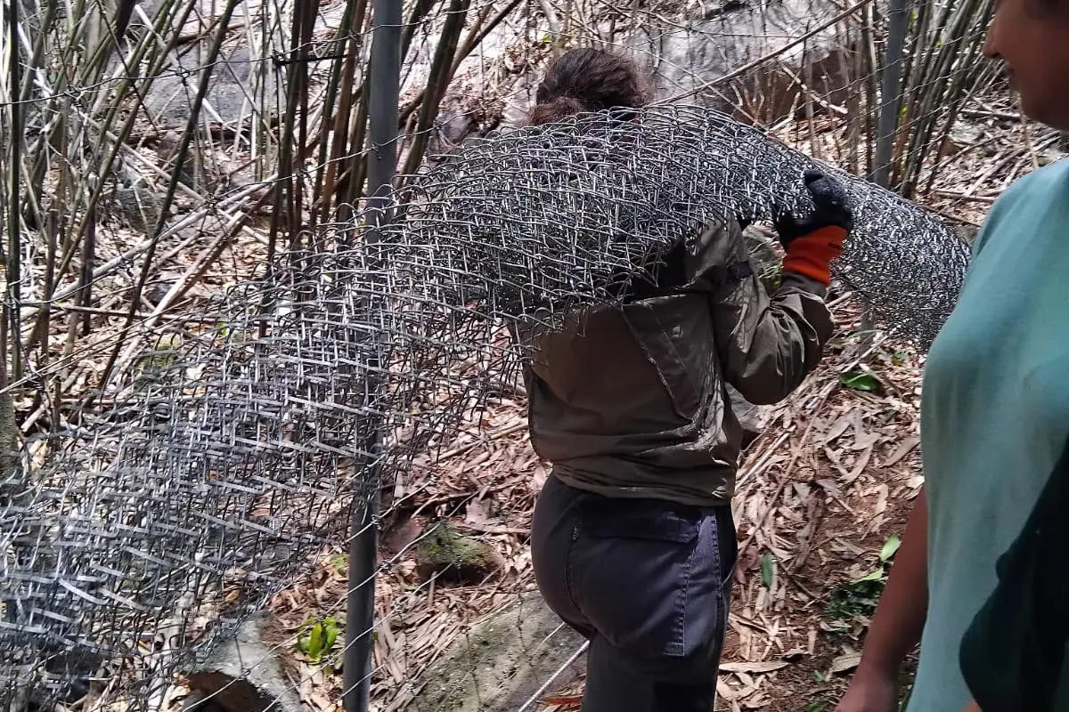 Lao Conservation Trust for Wildlife (LCTW)