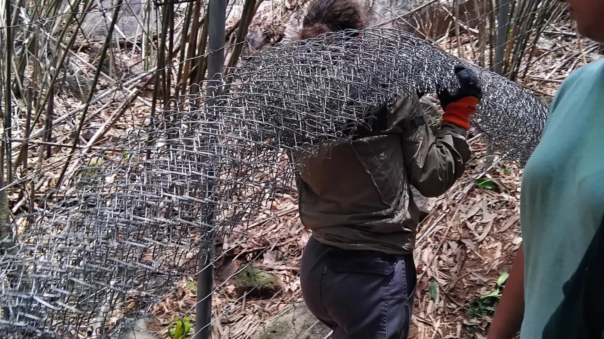 Lao Conservation Trust for Wildlife (LCTW)