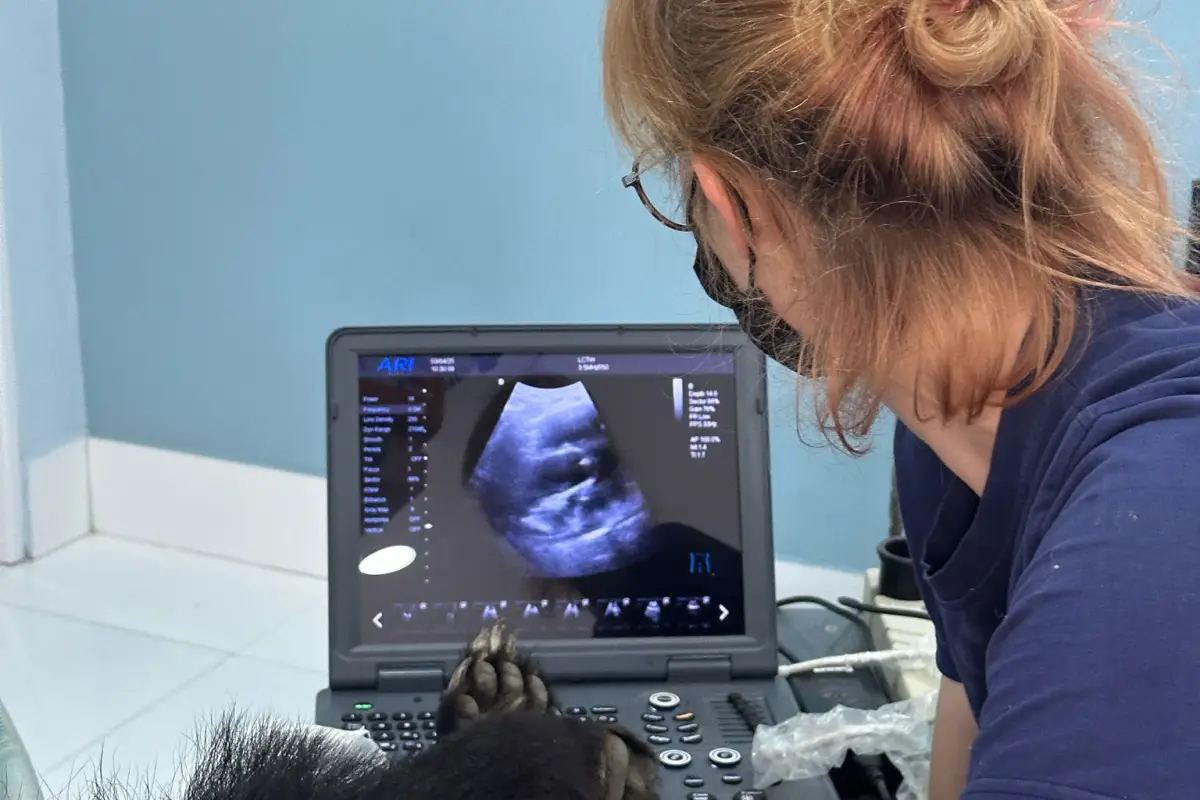 Lao Conservation Trust for Wildlife (LCTW)