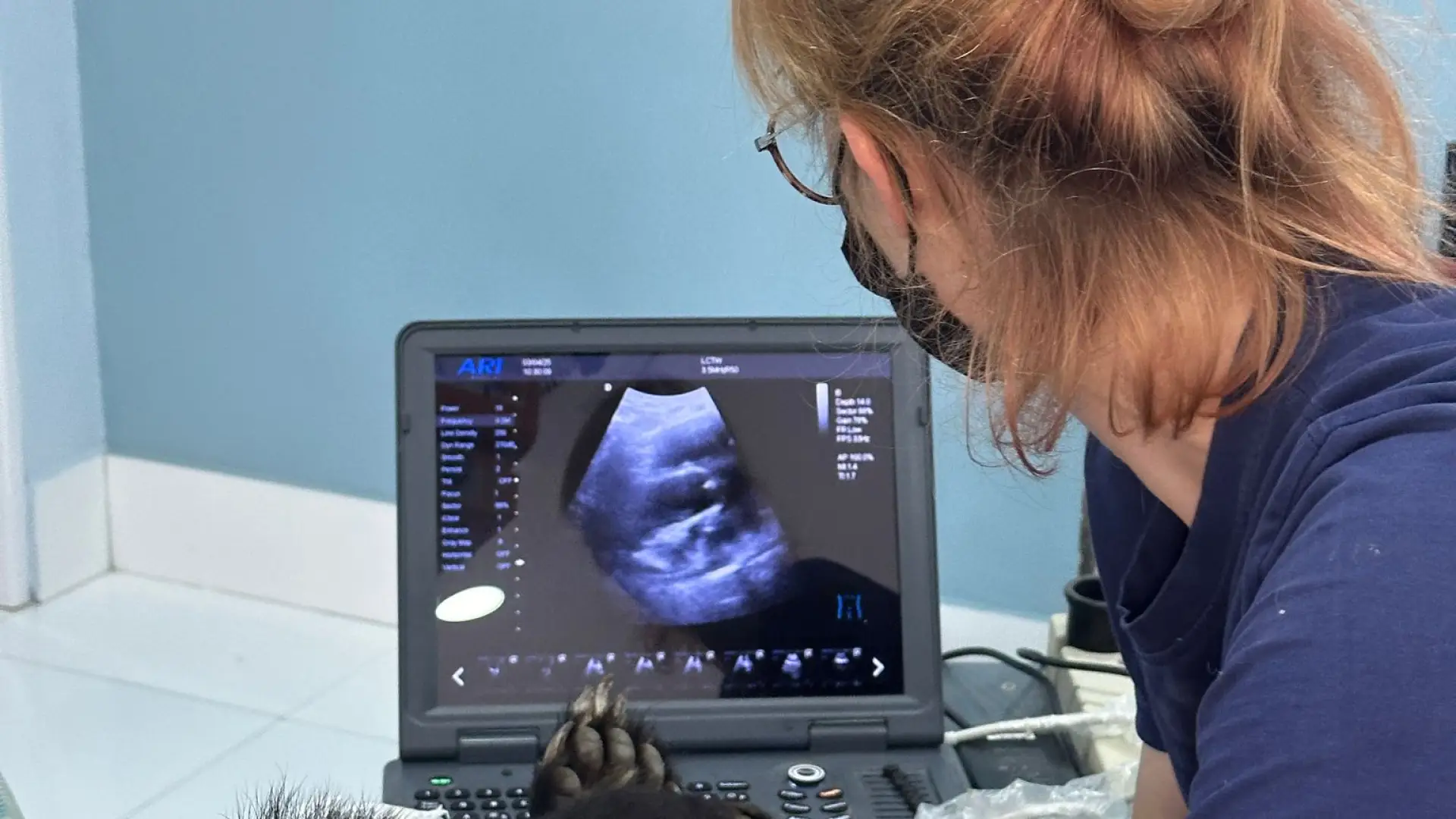 Lao Conservation Trust for Wildlife (LCTW)