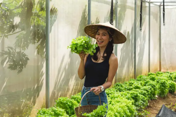 Organic Farm Tour at NamKhan Ecolodge