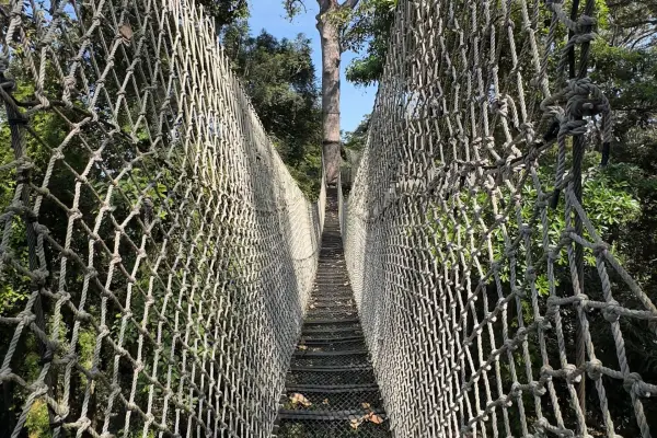 La Forêt Canopy Walkways
