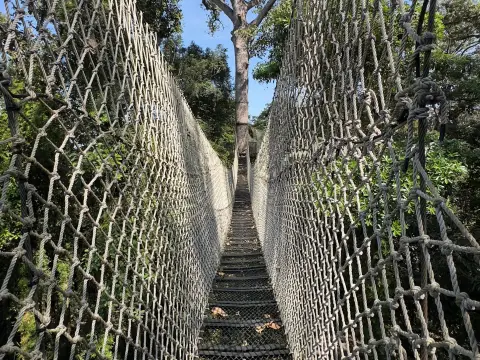 La Forêt Canopy Walkways